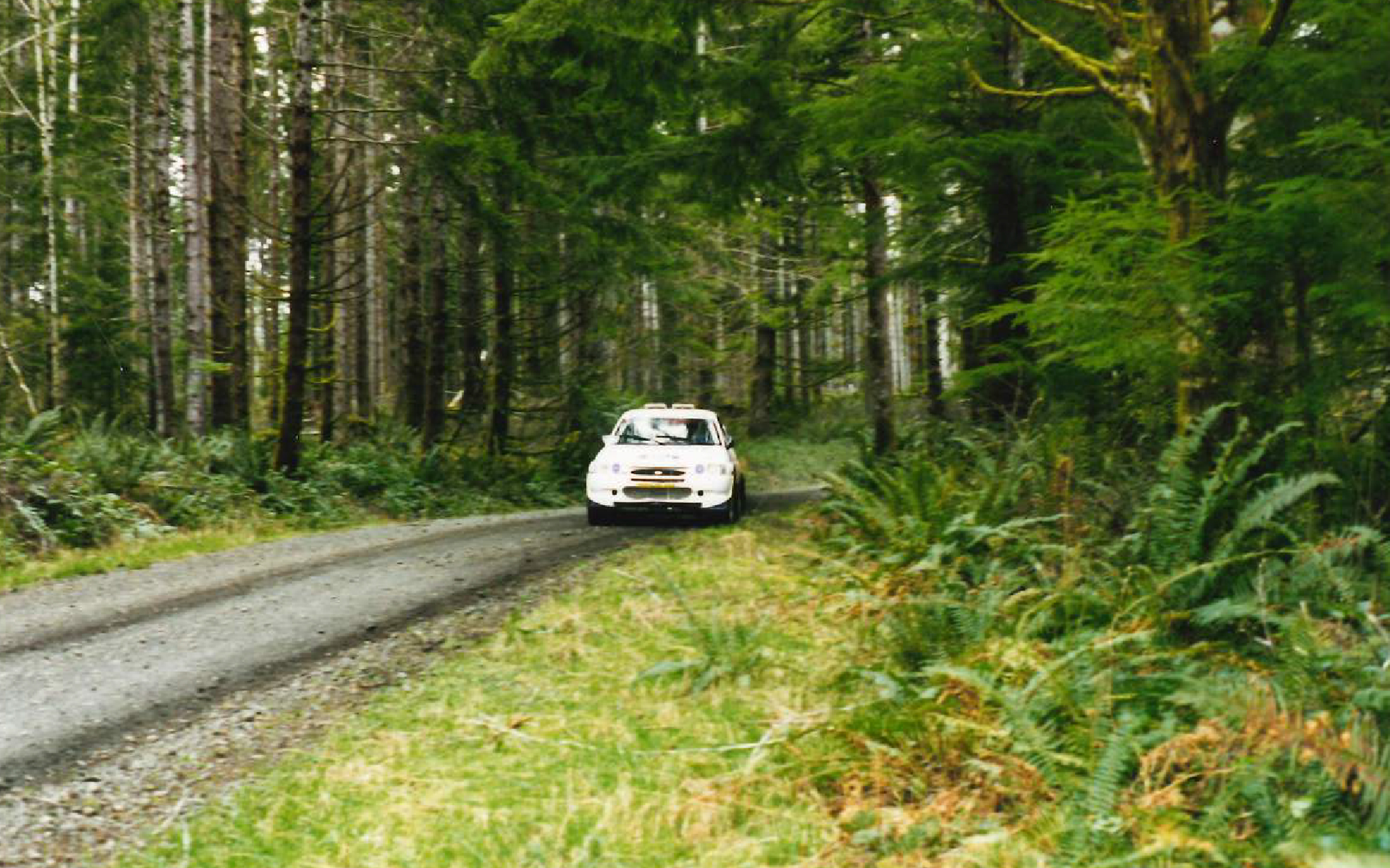 Carl Merrill Rallying