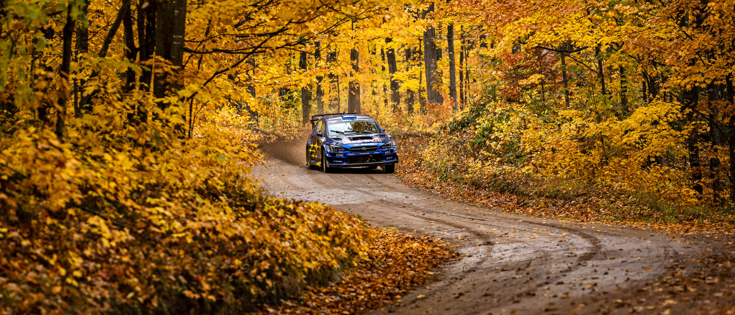 Brandon Semenuk Rallies Through Michigan Foliage scaled